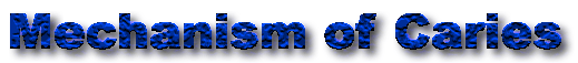 mechanism of caries