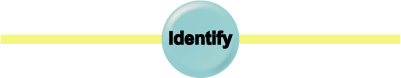 診断 Identify