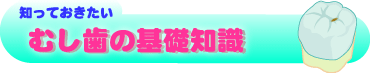 kiso.gif