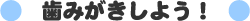 ���݂������悤�I