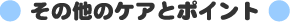 ���̑��̃P�A
