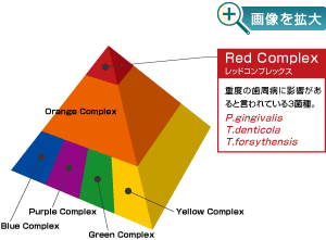 Red Complex