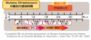 Mutans Streptococci̍ŏ̊